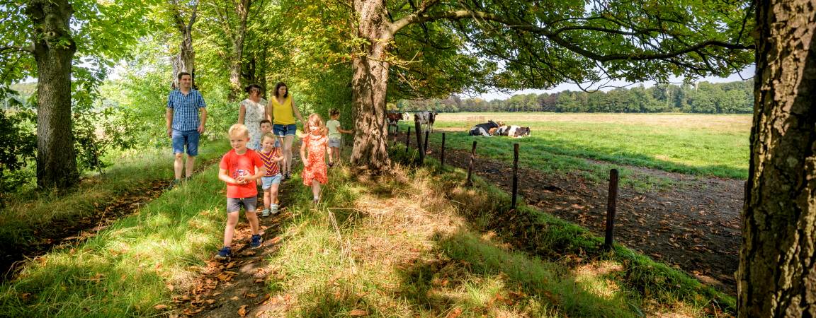 Family walking