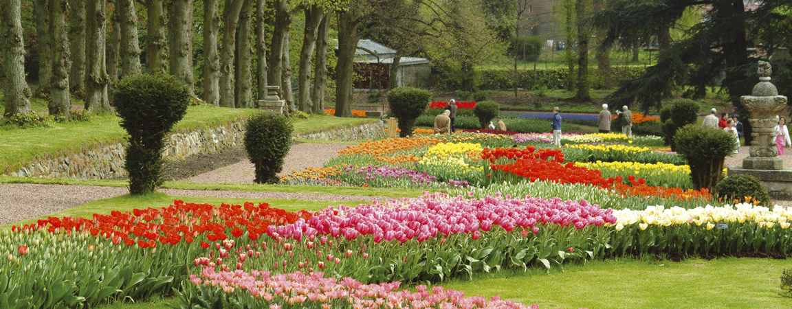 Floralia Brussels