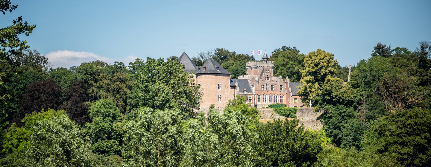 Kasteel van Gaasbeek