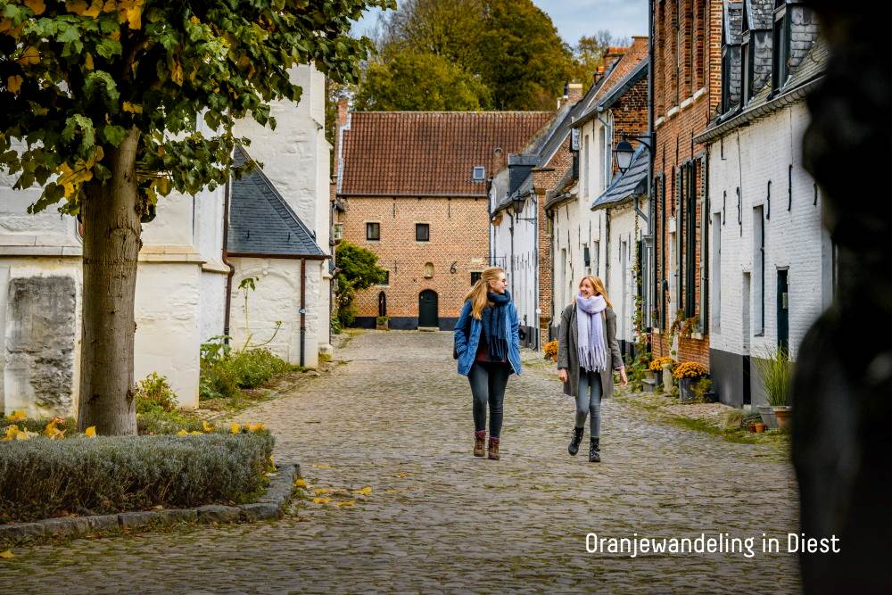 Oranjewandeling