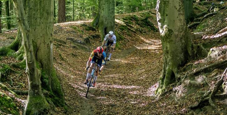 Gravelaars in de Brabantse Wouden