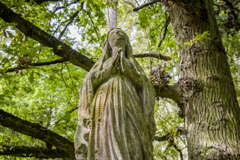 Zwarte-madam-foto