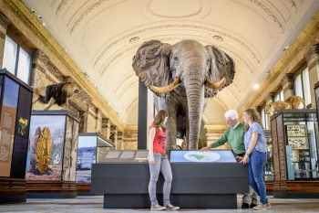 africamuseum-foto