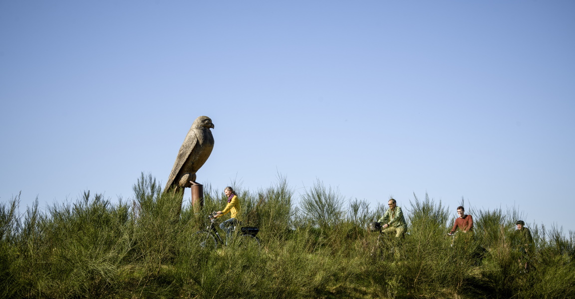 beeld-van-torenvalk