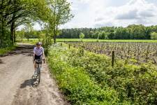 Fietser op de EK Gravelroute