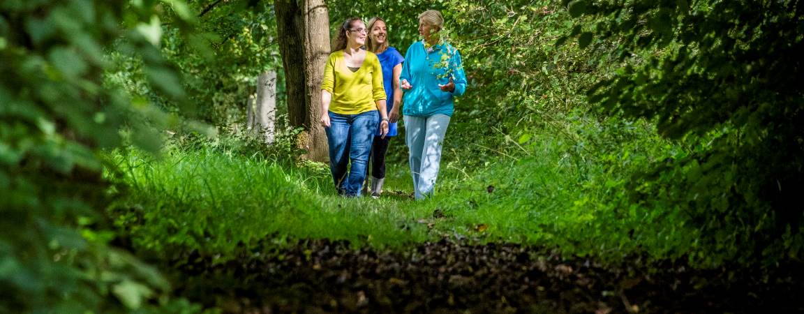 Wandelaars in het Silsombos