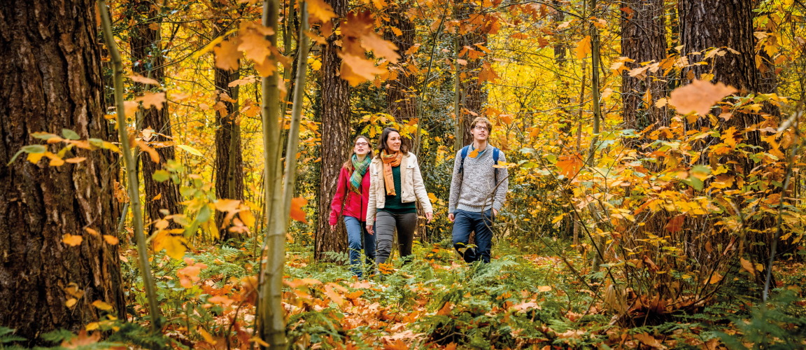 Herfstwandelen-foto-1