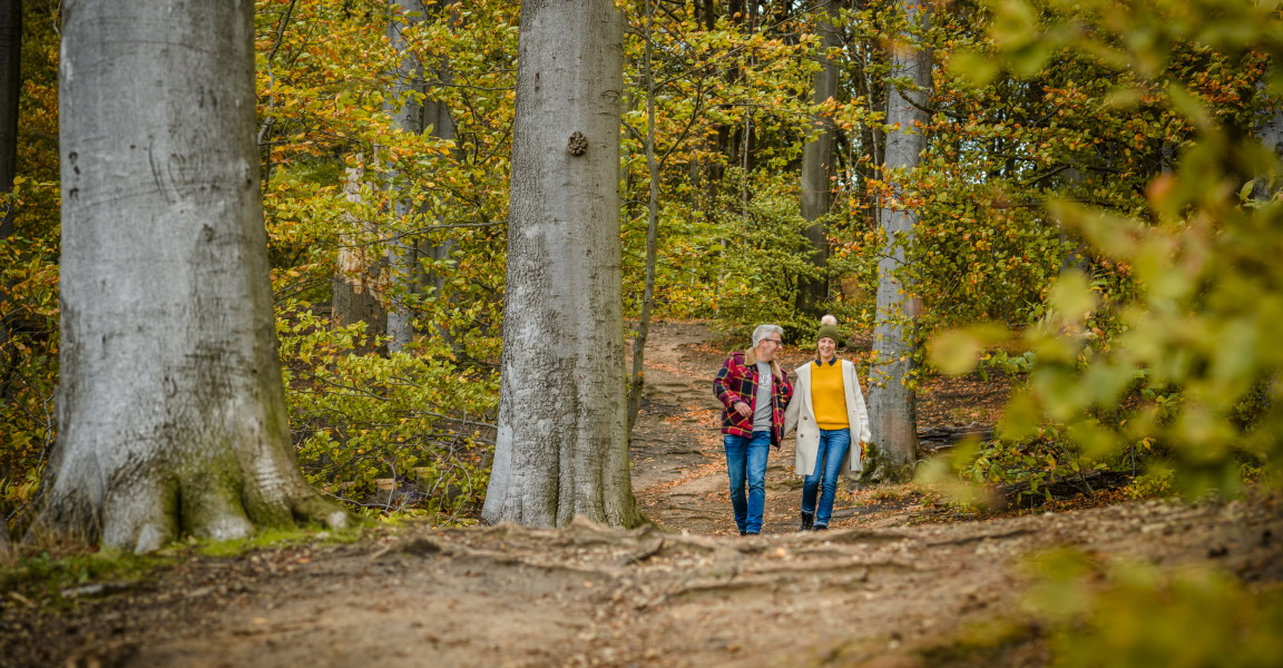 Herfstwandelen-foto-2