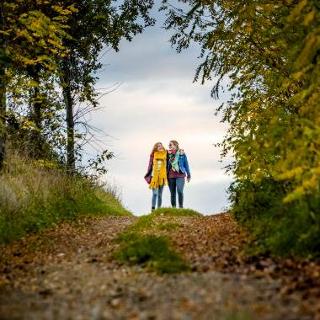 Wandelaars in herfstbos