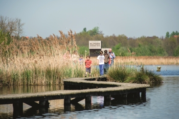 het-vinne-foto