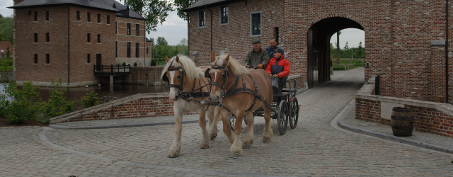 Koets rijdt langs brouwerij Palm