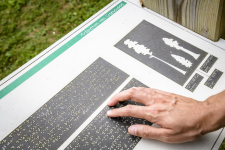 Braillebord in het Arboretum van Groenendaal
