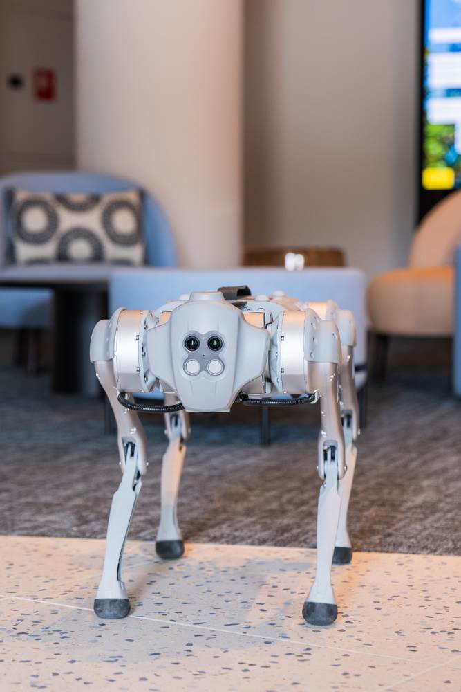 Hond robot Living Tomorrow