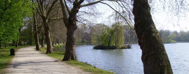 Lovenarenbroekwandeling - Provinciaal domein Kessel-Lo (©Hans De Greef)