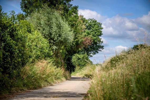 Wandelpad op Rosdelwandeling