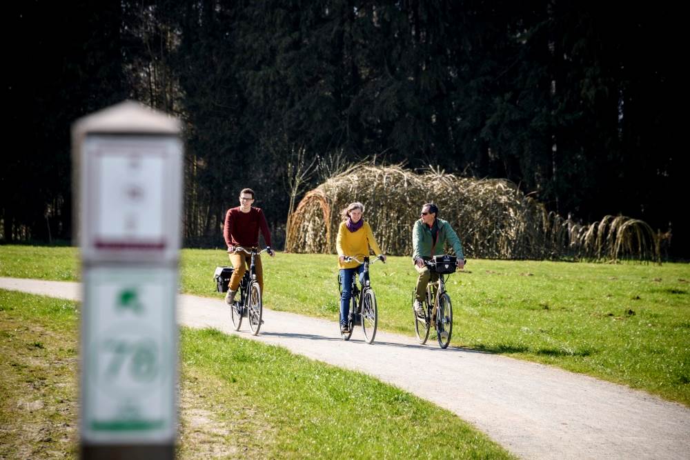 Fietsers op het multimove parcours