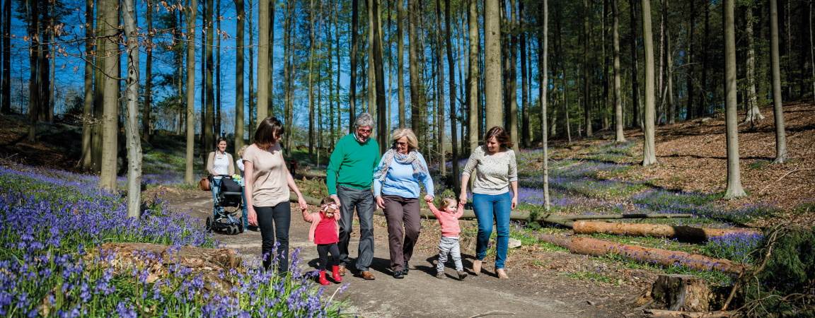 Wandelaars in het Hallerbos