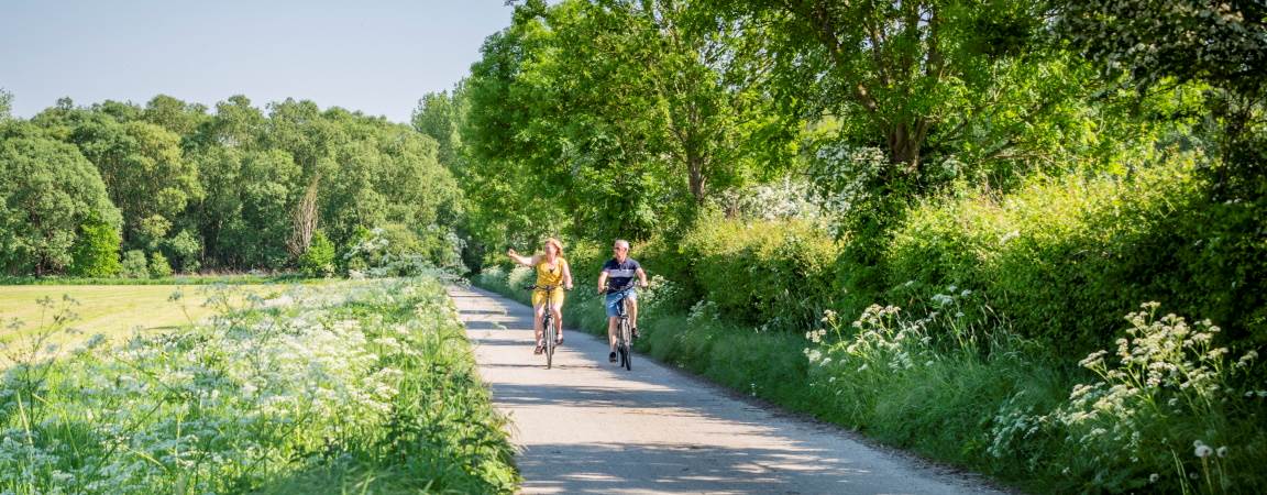 Fietsers op de Ter Heideroute