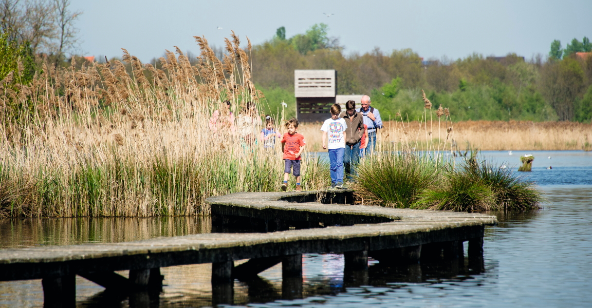 vlonderpaden-het-vinne