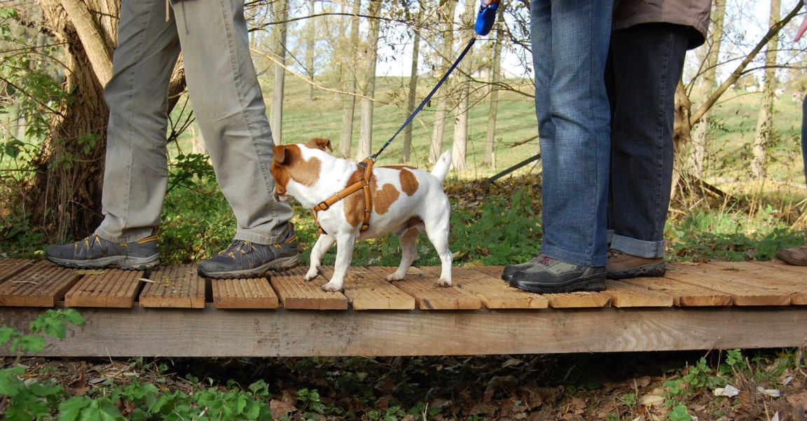 wandelaars-met-hond