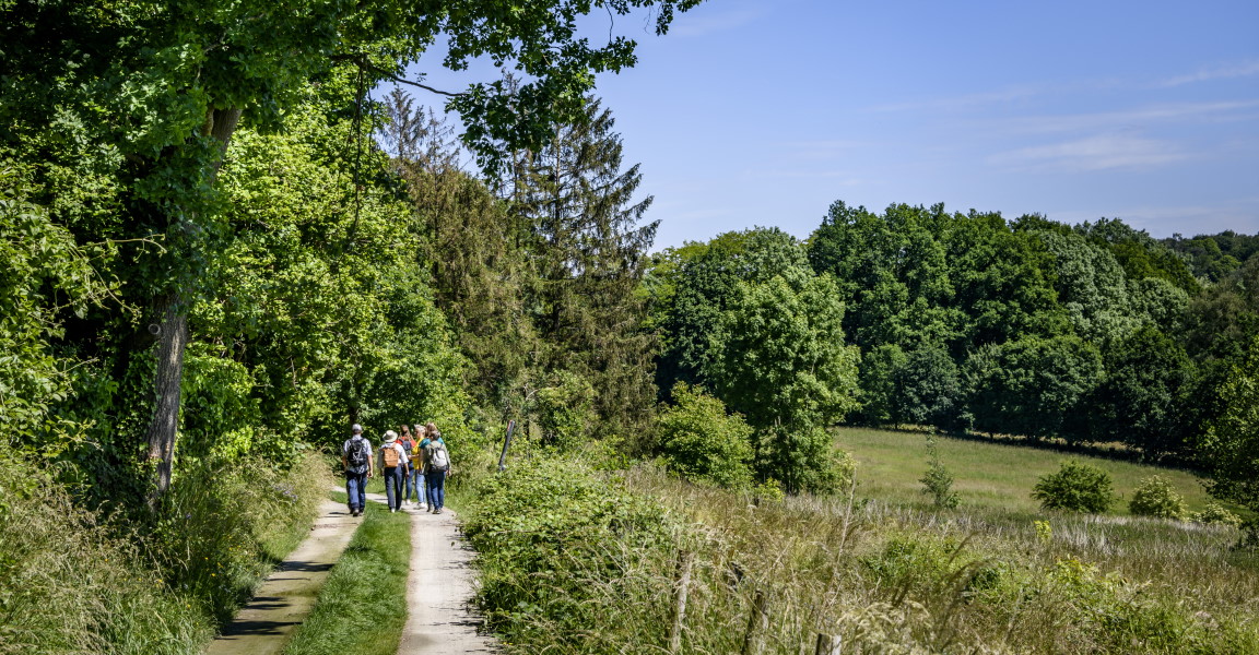 wandelen-pajottenland-foto-1