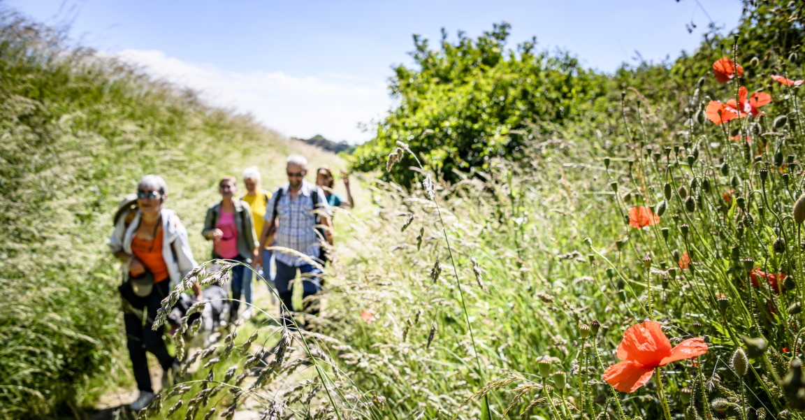 wandelgheimen-foto