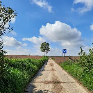 Veldpad onder blauwe lucht