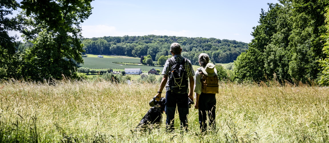 wandelweekends-voor-beginners-beersel