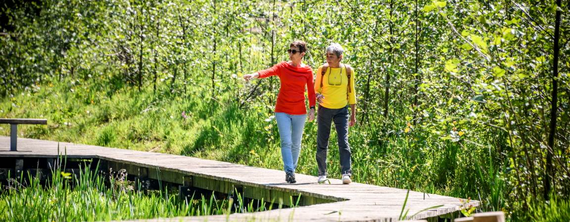 Wandelaars op vlonderpad