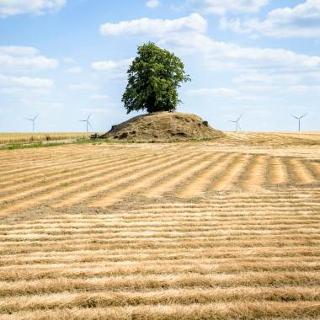 Landschapsfoto tumulus