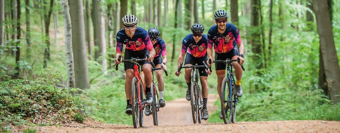 Gravelrijders in Brabantse Wouden