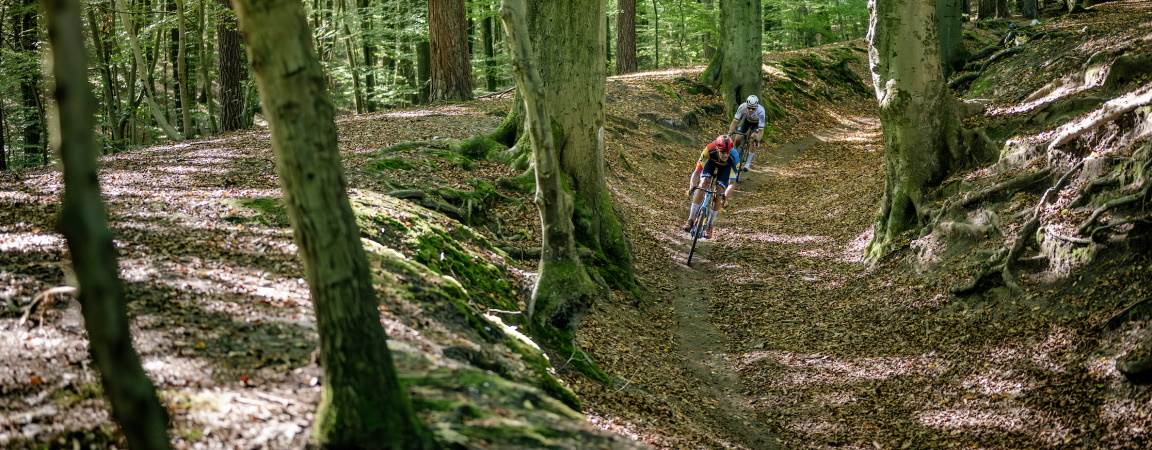 Gravelfietsers in het bos